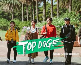黄瓜TV《TOP DOG》免费在线观看
