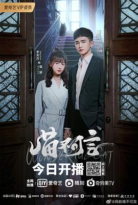 黄瓜视频《喵不可言》免费在线观看