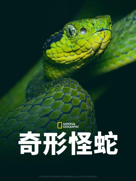 黄瓜视频《奇形怪蛇》免费在线观看